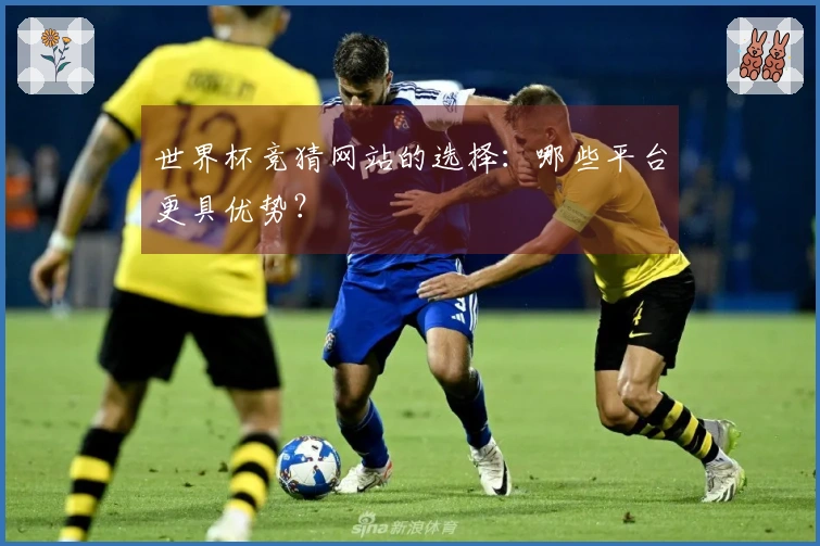 世界杯竞猜网站的选择：哪些平台更具优势？